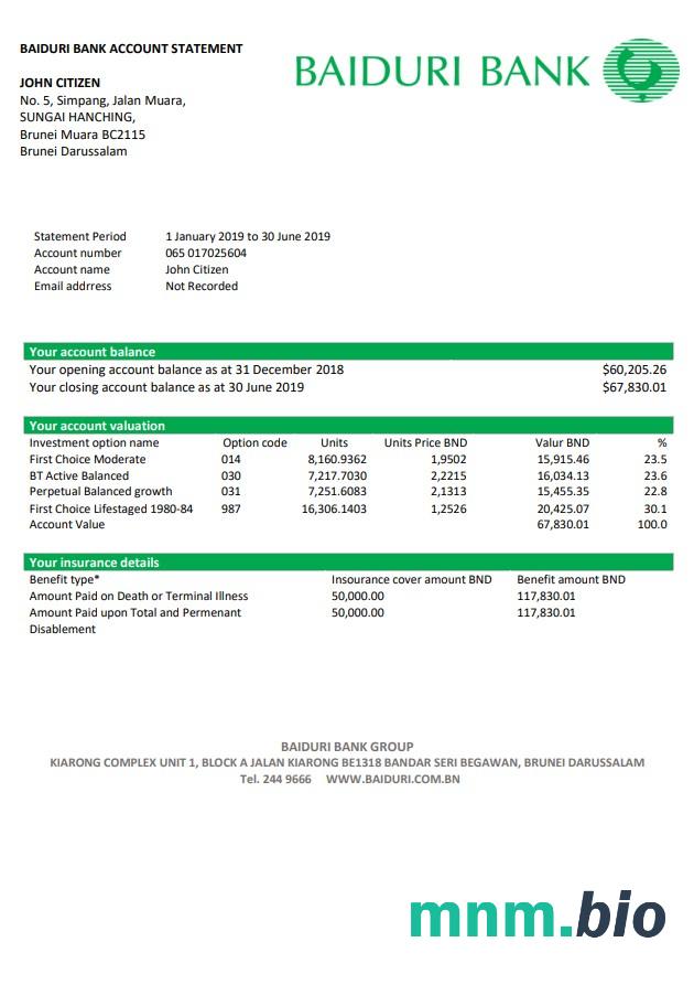 Brazil Itau wzór wyciągu bankowego in Excel and PDF format